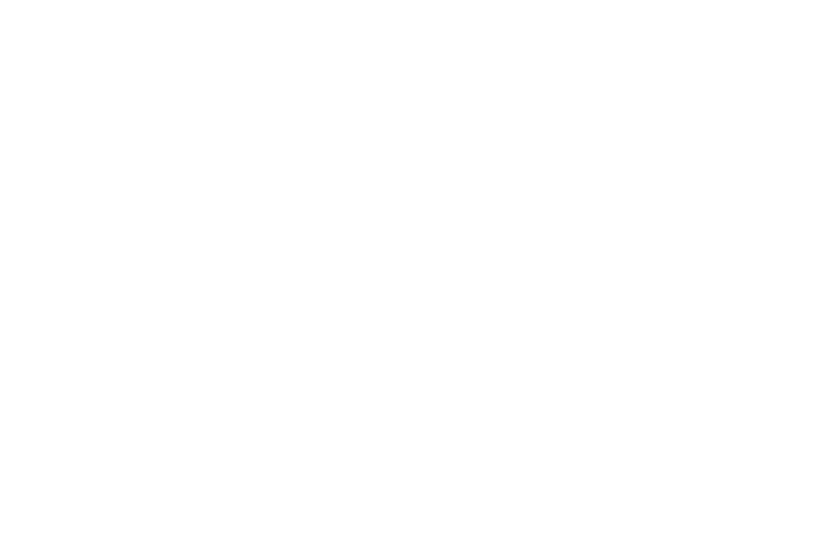 Montreal Independent Film Festival Official Selection